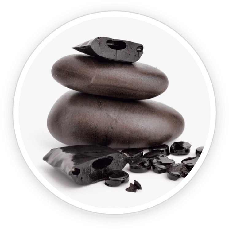 Shilajit- PotentStream Ingredient